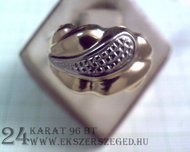 Gyűrű_2_1013_22428.jpg