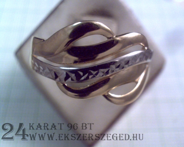 Gyűrű_2_3177_22422.jpg