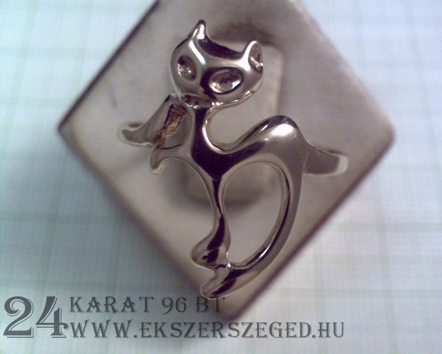 Gyűrű_2_3416_22274.jpg